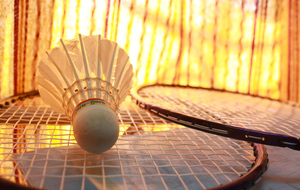 Stages Badminton