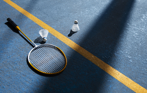 Interclub Pre-régional - BACOU1 se déplace à Verneuil en avril