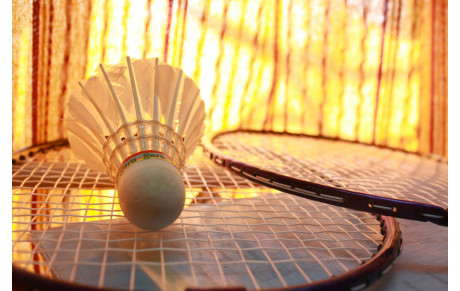 Stages Badminton