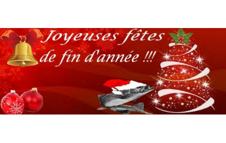 Fêtes de fin d'année...2019
